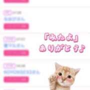 ヒメ日記 2025/05/12 19:39 投稿 姫嶋 りょう カサノヴァ