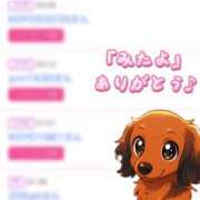 ヒメ日記 2025/05/15 19:39 投稿 姫嶋 りょう カサノヴァ