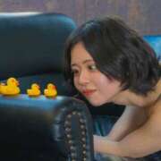 ヒメ日記 2025/03/24 00:52 投稿 るか EXE（エグゼ）