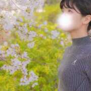 ヒメ日記 2025/04/13 22:39 投稿 るか EXE（エグゼ）