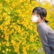 ヒメ日記 2025/04/15 06:56 投稿 るか EXE（エグゼ）