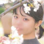 ヒメ日記 2025/04/17 22:13 投稿 るか EXE（エグゼ）