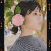 ヒメ日記 2025/05/02 13:24 投稿 るか EXE（エグゼ）