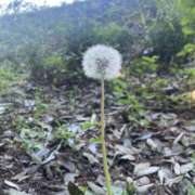 ヒメ日記 2025/05/11 12:32 投稿 るか EXE（エグゼ）