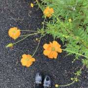 ヒメ日記 2025/10/07 00:09 投稿 るか EXE（エグゼ）