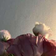 ヒメ日記 2025/10/28 12:39 投稿 るか EXE（エグゼ）