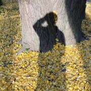 ヒメ日記 2026/04/14 03:15 投稿 るか EXE（エグゼ）