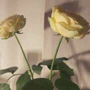 ヒメ日記 2026/04/19 20:21 投稿 るか EXE（エグゼ）