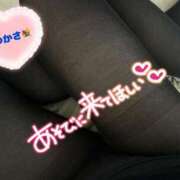 ヒメ日記 2025/11/13 08:44 投稿 司（つかさ） 丸妻 錦糸町店