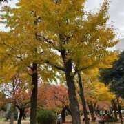 ヒメ日記 2025/11/29 09:09 投稿 司（つかさ） 丸妻 錦糸町店