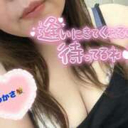 ヒメ日記 2025/12/10 10:02 投稿 司（つかさ） 丸妻 錦糸町店