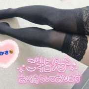 ヒメ日記 2026/01/15 14:16 投稿 司（つかさ） 丸妻 錦糸町店