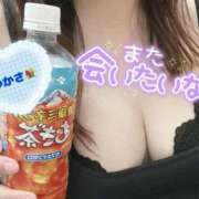 ヒメ日記 2026/02/19 15:49 投稿 司（つかさ） 丸妻 錦糸町店