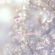 ヒメ日記 2025/12/15 23:00 投稿 まな◆天性の愛され体質♪ エピソード倉敷