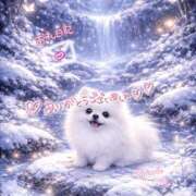 ヒメ日記 2025/12/26 23:24 投稿 まな◆天性の愛され体質♪ エピソード倉敷