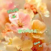 ヒメ日記 2026/03/04 00:30 投稿 まな◆天性の愛され体質♪ エピソード倉敷