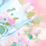 ヒメ日記 2026/03/16 05:15 投稿 まな◆天性の愛され体質♪ エピソード倉敷