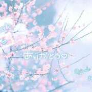 ヒメ日記 2026/03/16 05:31 投稿 まな◆天性の愛され体質♪ エピソード倉敷