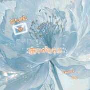 ヒメ日記 2026/03/17 23:01 投稿 まな◆天性の愛され体質♪ エピソード倉敷
