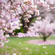 ヒメ日記 2026/03/20 09:45 投稿 まな◆天性の愛され体質♪ エピソード倉敷