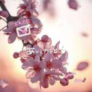 ヒメ日記 2026/03/24 10:03 投稿 まな◆天性の愛され体質♪ エピソード倉敷