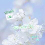 ヒメ日記 2026/03/24 10:15 投稿 まな◆天性の愛され体質♪ エピソード倉敷