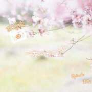 ヒメ日記 2026/04/04 00:30 投稿 まな◆天性の愛され体質♪ エピソード倉敷