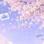 ヒメ日記 2026/04/05 23:31 投稿 まな◆天性の愛され体質♪ エピソード倉敷