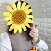 ヒメ日記 2025/06/19 20:59 投稿 はるな チェックイン素人専門大人女子