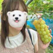 ヒメ日記 2025/04/27 08:03 投稿 青田 由依 こあくまな熟女たち沼津店（KOAKUMAグループ）