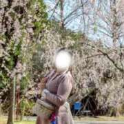 ヒメ日記 2025/04/19 09:14 投稿 まり ぐらどるえっぐ