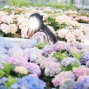 ヒメ日記 2025/08/08 09:04 投稿 まり ぐらどるえっぐ