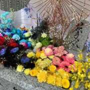 ヒメ日記 2025/10/15 11:15 投稿 まり ぐらどるえっぐ