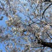 さな 🌸 松戸角海老根本店