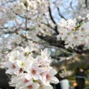 さな 🌸② 松戸角海老根本店