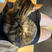 ヒメ日記 2025/06/08 14:53 投稿 ♡スイ MEGA PALACE(メガパレス）