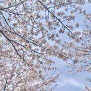 ヒメ日記 2025/04/11 11:00 投稿 天音こなつ 五反田はじめてのエステ