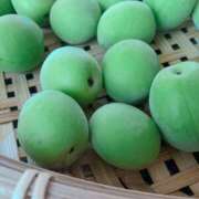 ヒメ日記 2025/05/25 19:30 投稿 天音こなつ 五反田はじめてのエステ