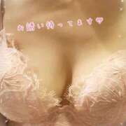 ヒメ日記 2025/03/31 08:34 投稿 みゆ 横浜人妻花壇本店