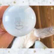 ヒメ日記 2025/03/31 12:05 投稿 みゆ 横浜人妻花壇本店