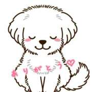 ヒメ日記 2025/04/14 20:33 投稿 みゆ 横浜人妻花壇本店