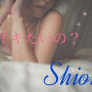 ヒメ日記 2025/04/16 12:09 投稿 しおん Salon du Mーえっちなお姉さんのM性感デリバリーー大阪店