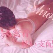 ヒメ日記 2025/05/20 20:19 投稿 しおん Salon du Mーえっちなお姉さんのM性感デリバリーー大阪店