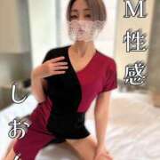 ヒメ日記 2025/09/25 08:19 投稿 しおん Salon du Mーえっちなお姉さんのM性感デリバリーー大阪店