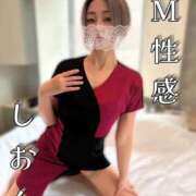 ヒメ日記 2026/08/22 09:09 投稿 しおん Salon du Mーえっちなお姉さんのM性感デリバリーー大阪店