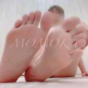 ヒメ日記 2025/10/25 12:04 投稿 ももか Salon du Mーえっちなお姉さんのM性感デリバリーー大阪店