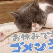 ヒメ日記 2025/04/25 10:39 投稿 りおな Salon du Mーえっちなお姉さんのM性感デリバリーー大阪店