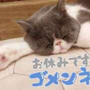 ヒメ日記 2025/08/02 11:39 投稿 りおな Salon du Mーえっちなお姉さんのM性感デリバリーー大阪店