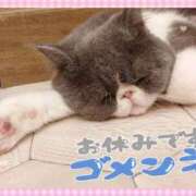 りおな お休みいただいています😭 Salon du Mーえっちなお姉さんのM性感デリバリーー大阪店