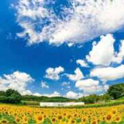 ヒメ日記 2026/07/01 13:09 投稿 りおな Salon du Mーえっちなお姉さんのM性感デリバリーー大阪店